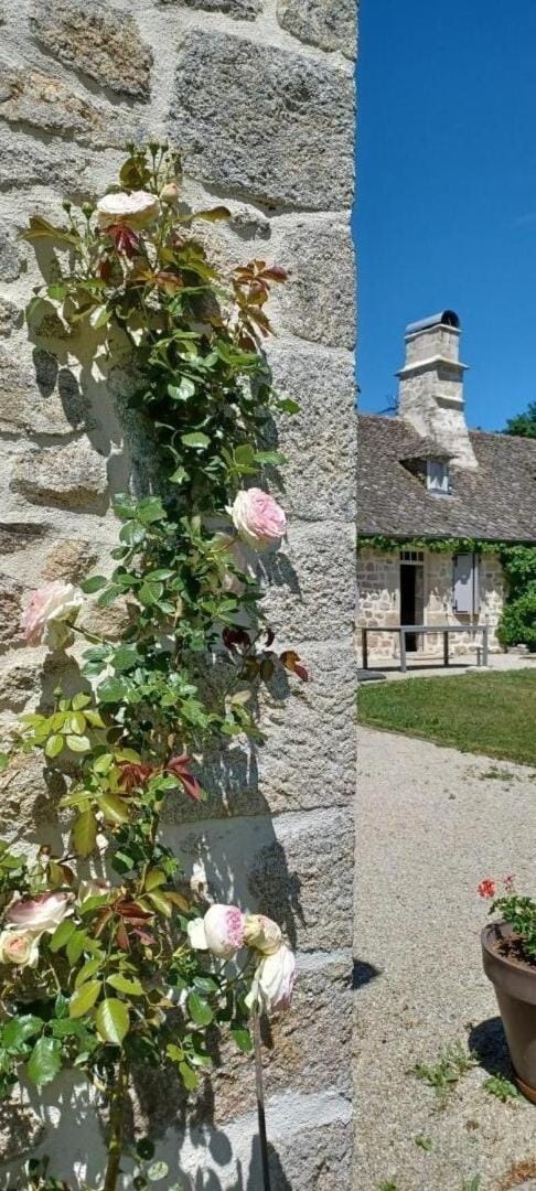 Gîte de France Les 7 sources 3 épis - Gîte de France 4 personnes MAE-9154 Apartment in Nouvelle-Aquitaine