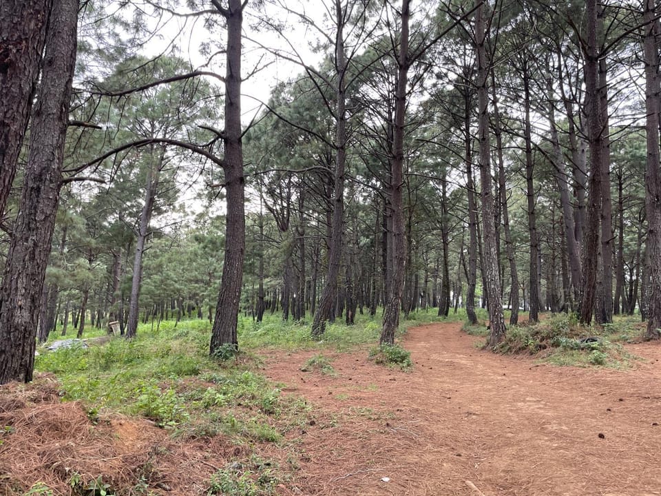 Day, Natural landscape