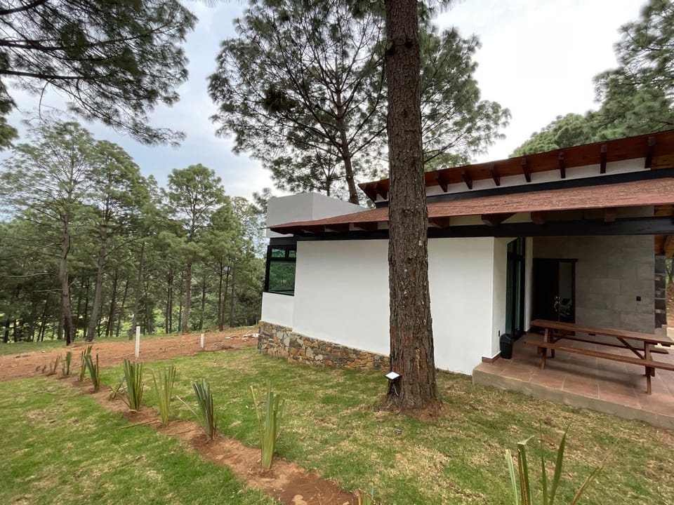 Property building, Day, Natural landscape, Garden, Garden view