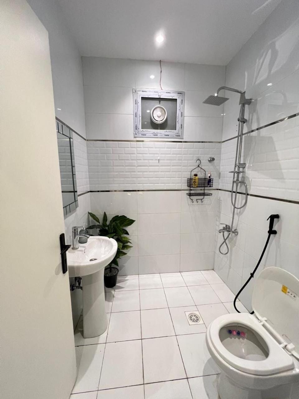 Shower, Toilet, bidet