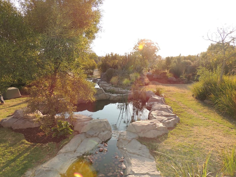 Day, Garden