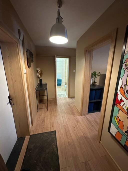 Business and getaway Apartment in Latvia