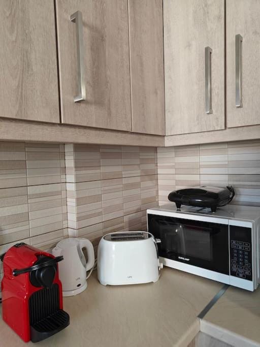 Kitchen or kitchenette, minibar, toaster