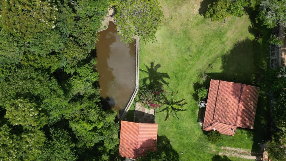 Lake view