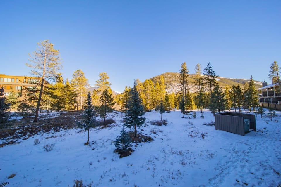 Pines 2050 by SummitCove Lodging in Colorado House in Keystone