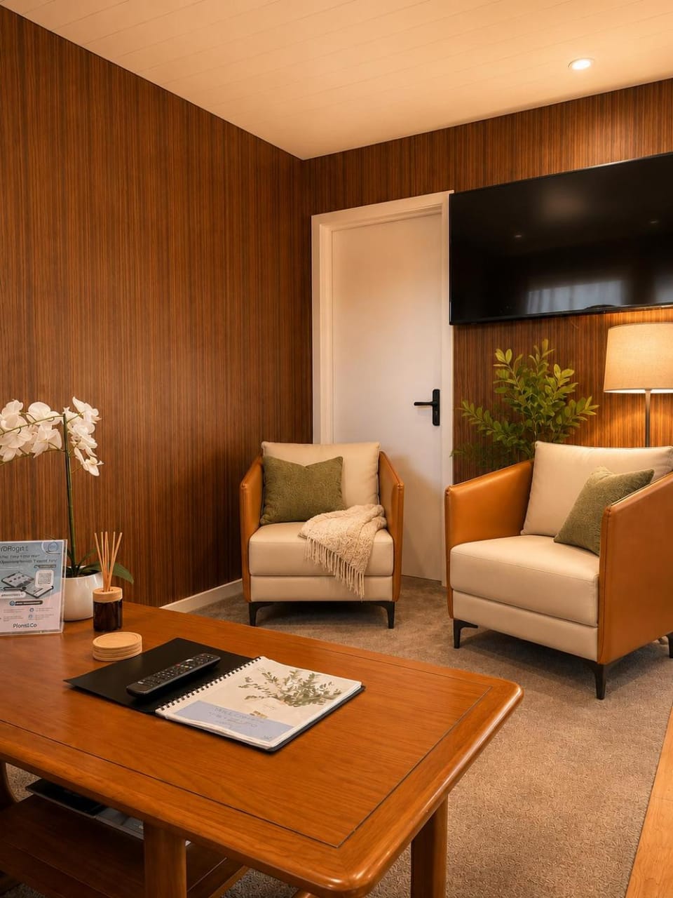 TV and multimedia, Living room