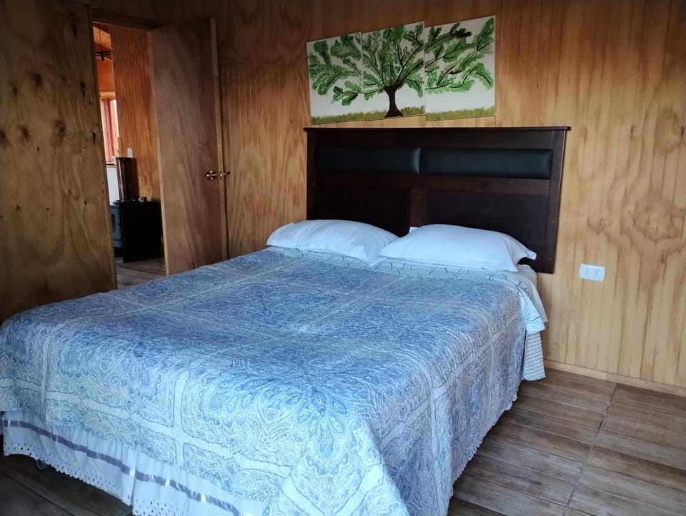 CABAÑAS BRISAS VOLCANICAS Apartment in Araucania, Chile
