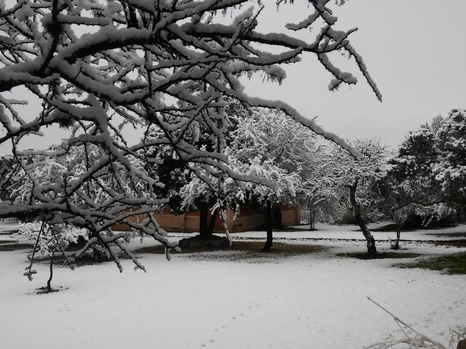 Winter
