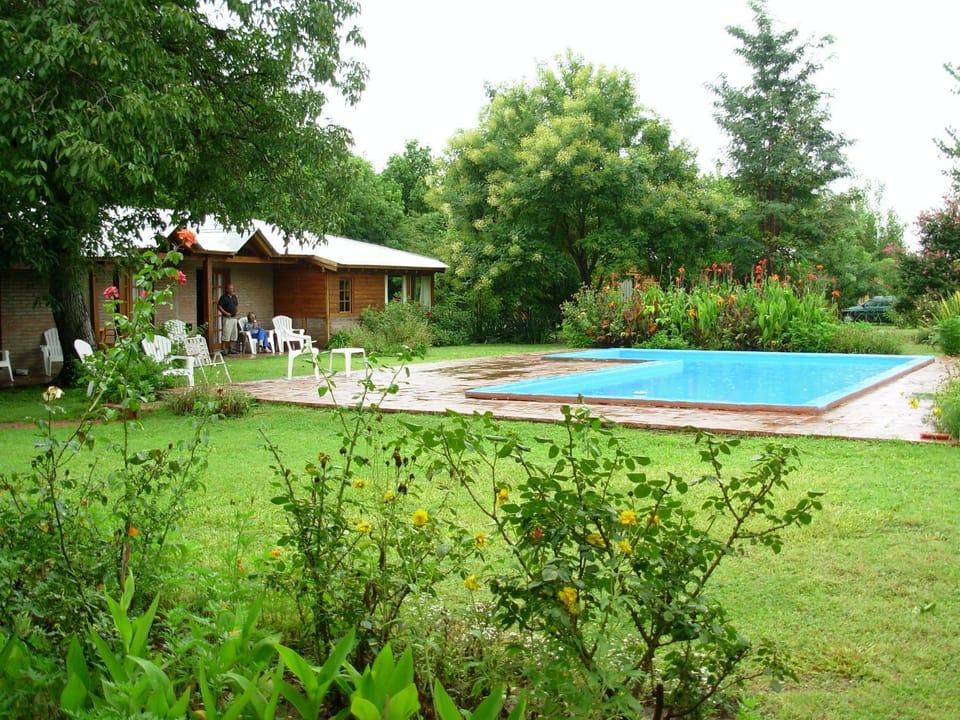 Garden, Pool view, Swimming pool, Swimming pool