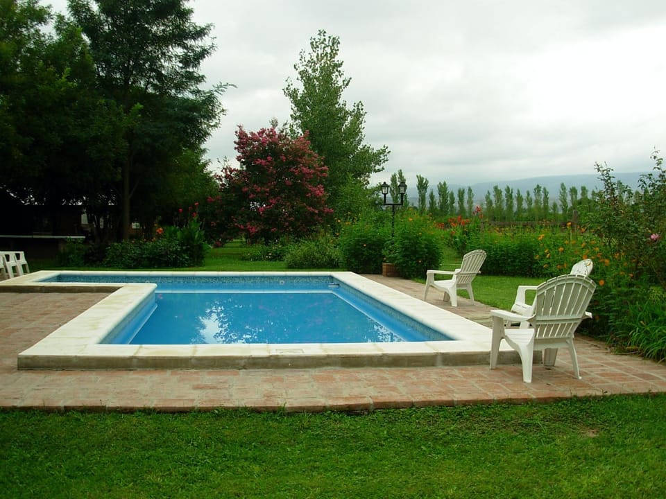 Garden, Garden view, Swimming pool, Swimming pool, sunbed