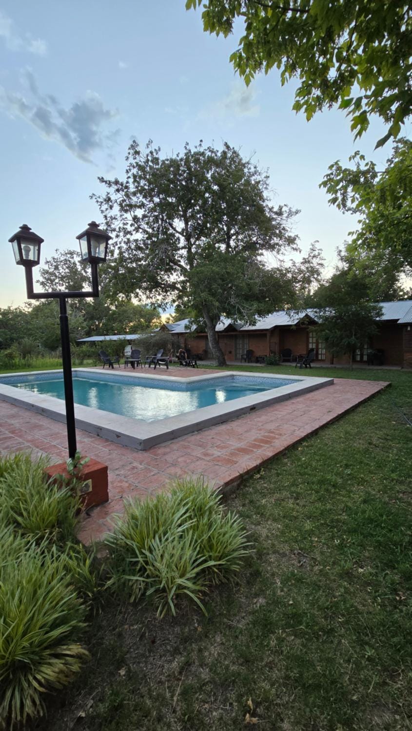Garden, Swimming pool, Swimming pool