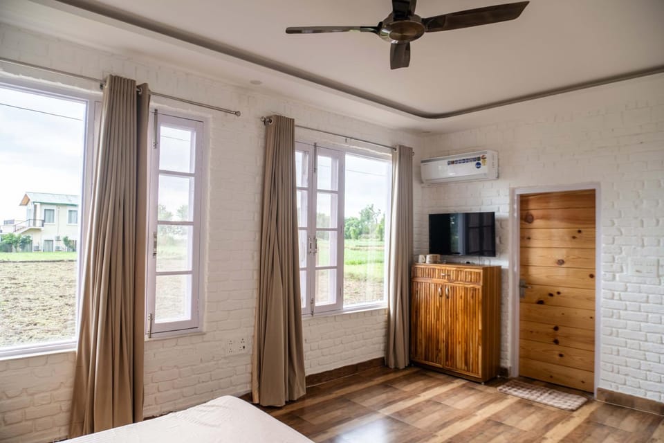 Photo of the whole room