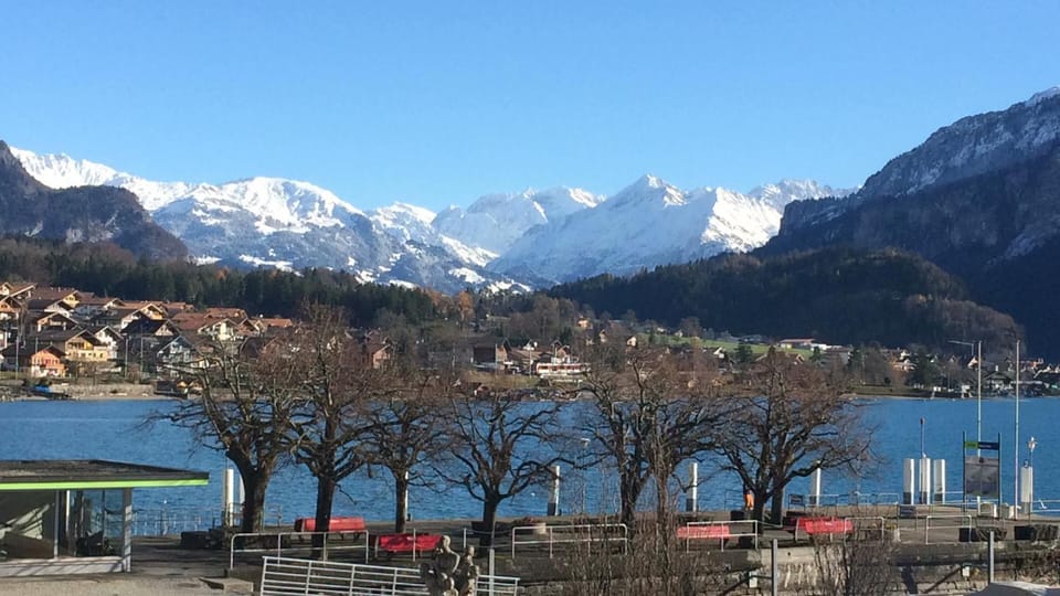 Mountain view