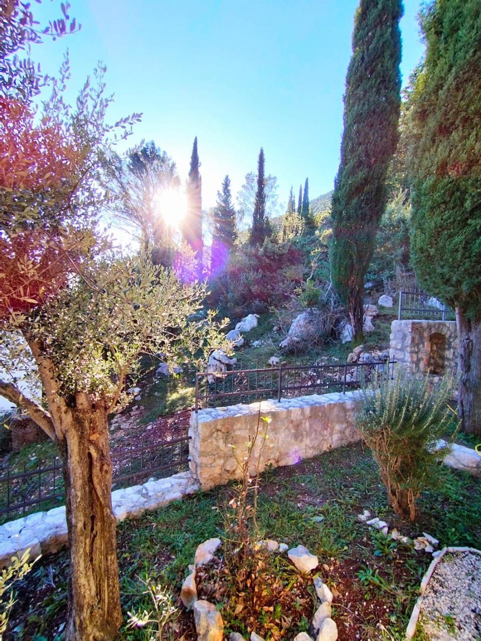 Natural landscape, Garden, Garden view