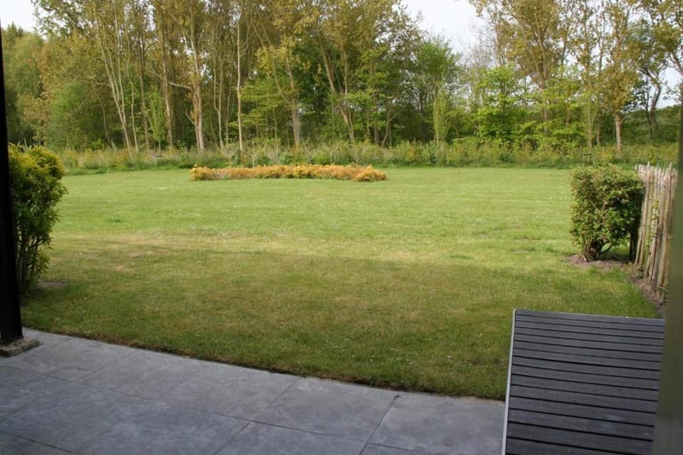 Day, Garden, Garden view