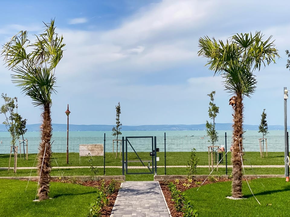 Garden, Beach, Garden view