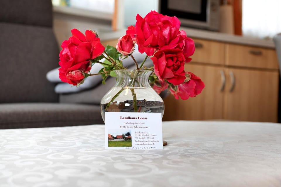 Ferienhaus Landhaus Loose House in Ostholstein