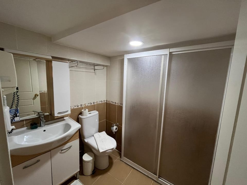 Shower, Toilet, Bathroom, towels