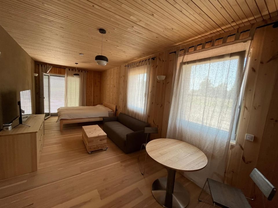 Bed, Living room, Photo of the whole room, Seating area, Bedroom
