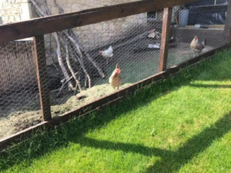 A Cotswold Cabin with Great Views and a Hot Tub Cabin in Stroud