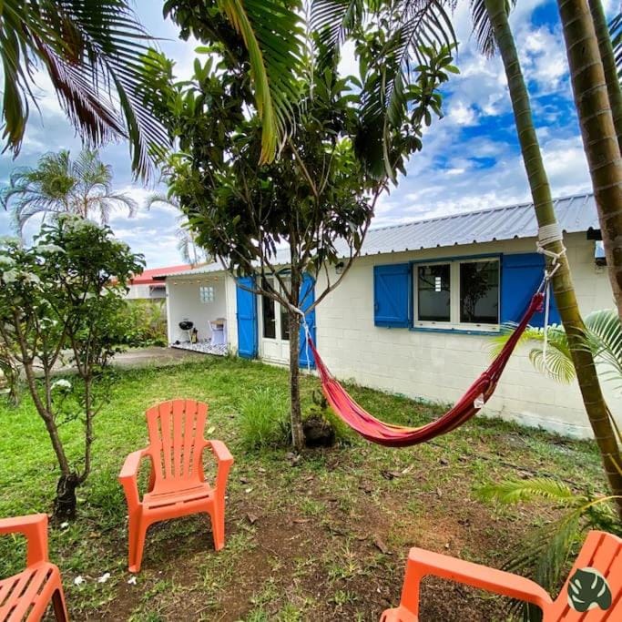Patio, Natural landscape, Garden view