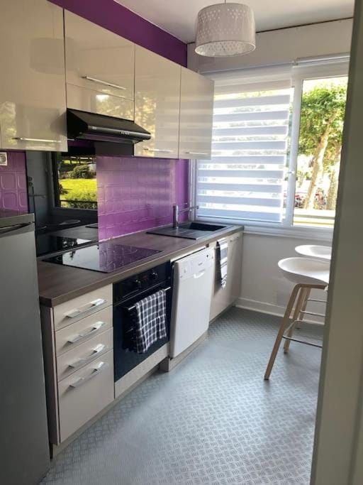 Kitchen or kitchenette, minibar, pet friendly, stove