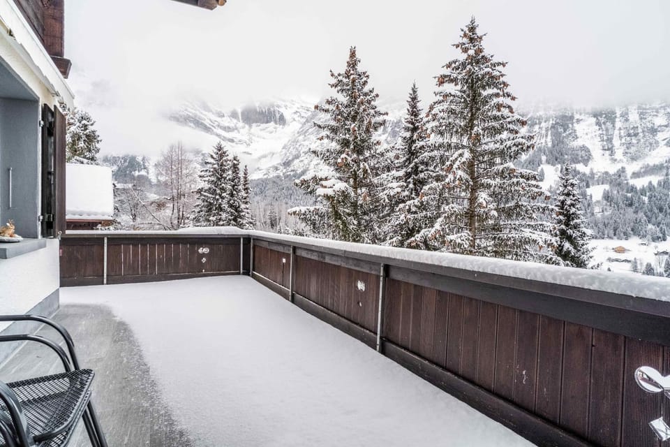 Natural landscape, Winter, View (from property/room), Balcony/Terrace, Mountain view