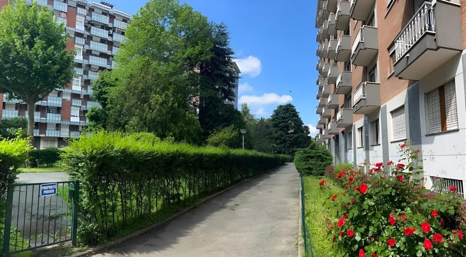 Property building, Spring, Day, Neighbourhood, Natural landscape, Garden, Garden view, Street view