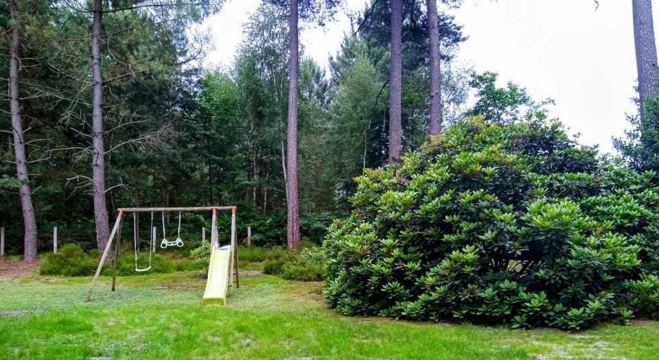 Children play ground, Garden view