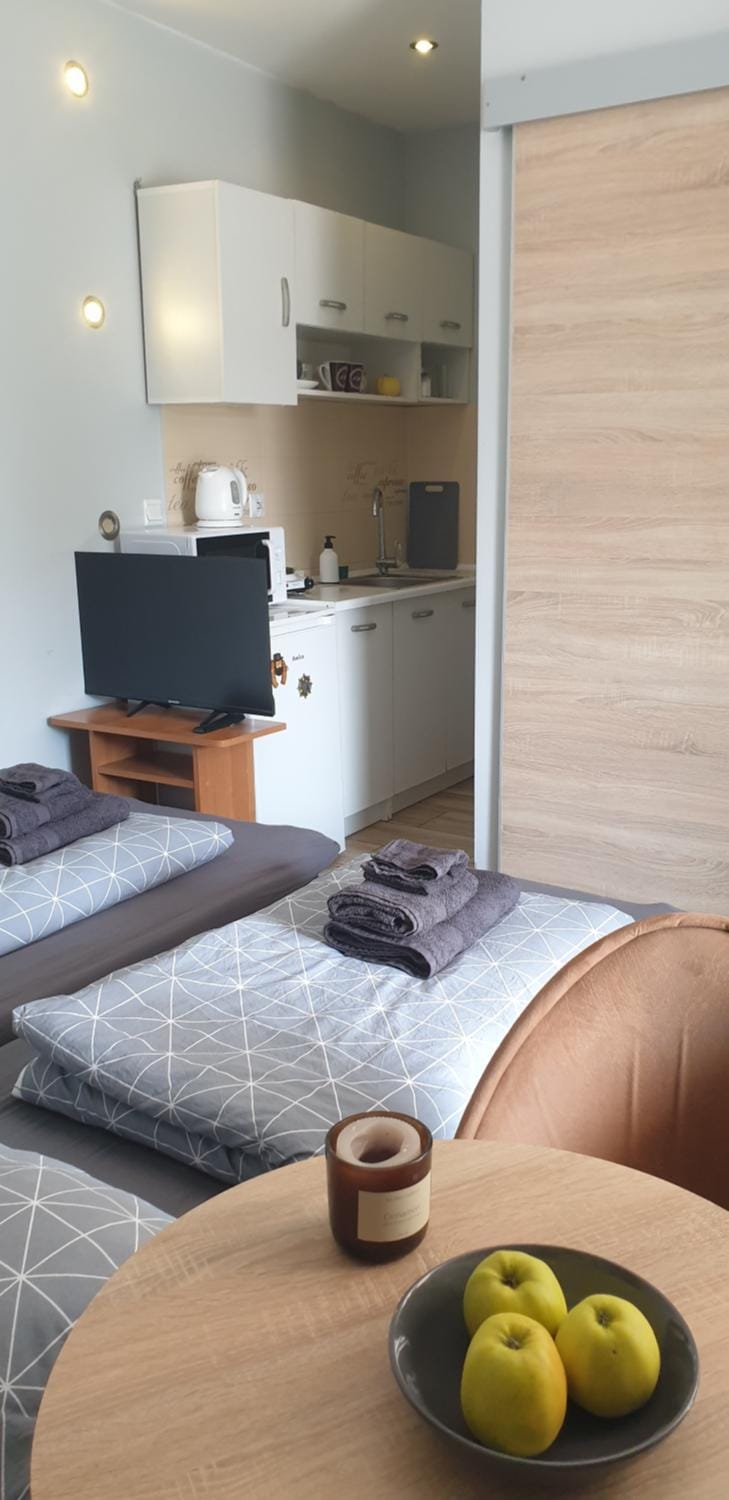Апартаменти біля рондо - Mieszkanie przy Rondzie Apartment in Lviv Oblast