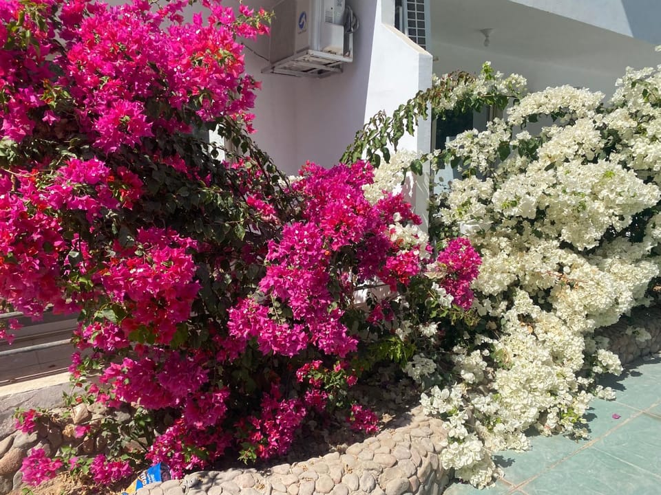 Captain beach Resort Apartment in Hurghada