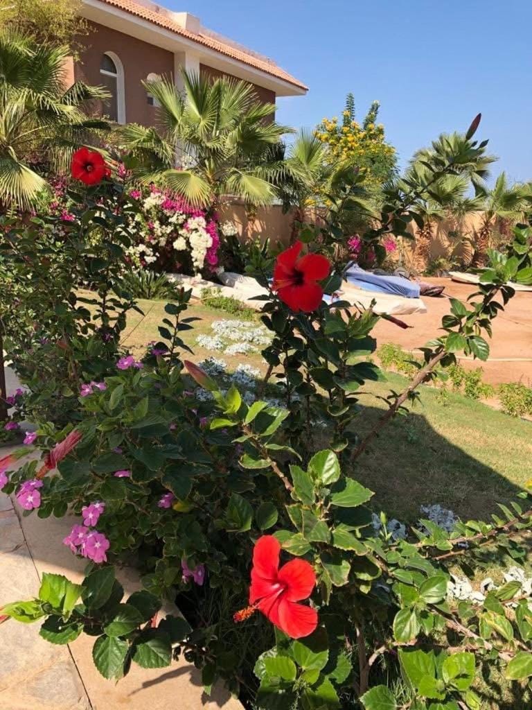 Captain beach Resort Apartment in Hurghada