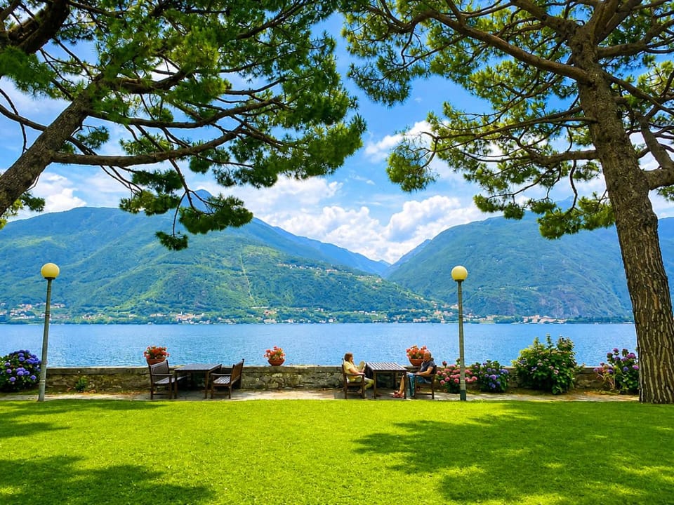 Garden view
