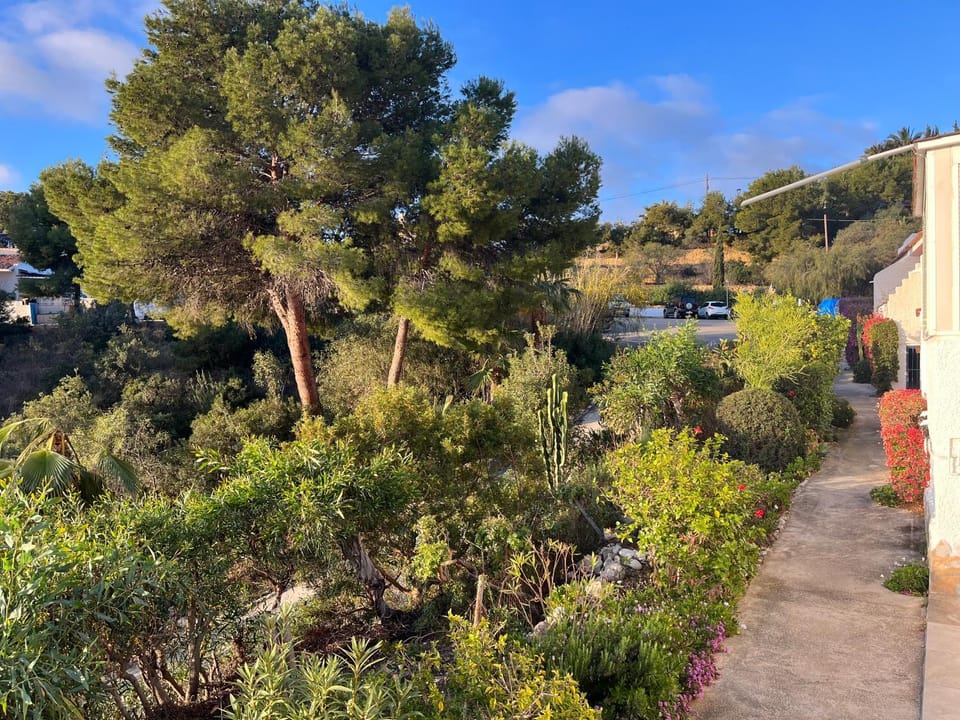 Property building, Garden view