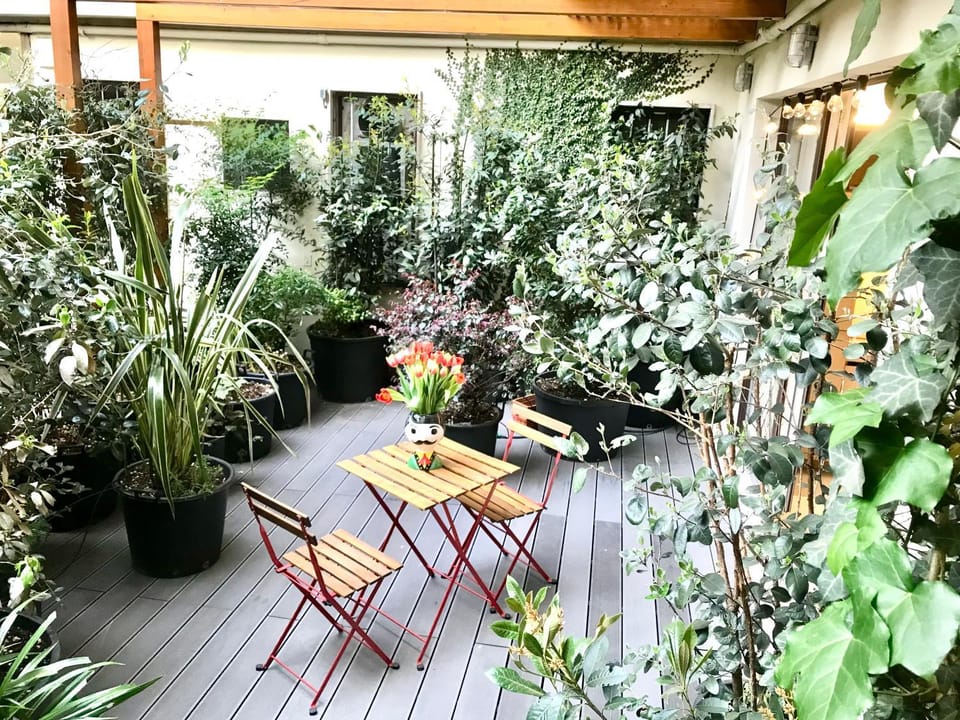 Patio, Spring, Day, Garden, Garden view