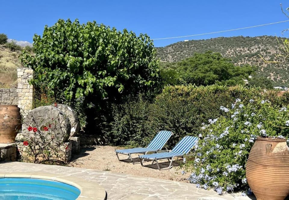 Day, Natural landscape, Garden, Garden view, Mountain view
