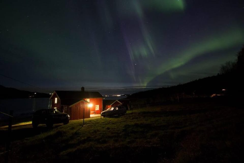 Property building, Night, Natural landscape