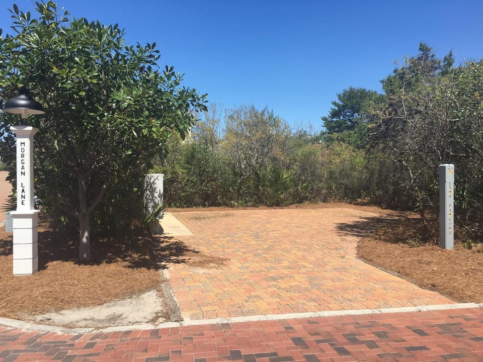 Neighbourhood, Natural landscape, Garden