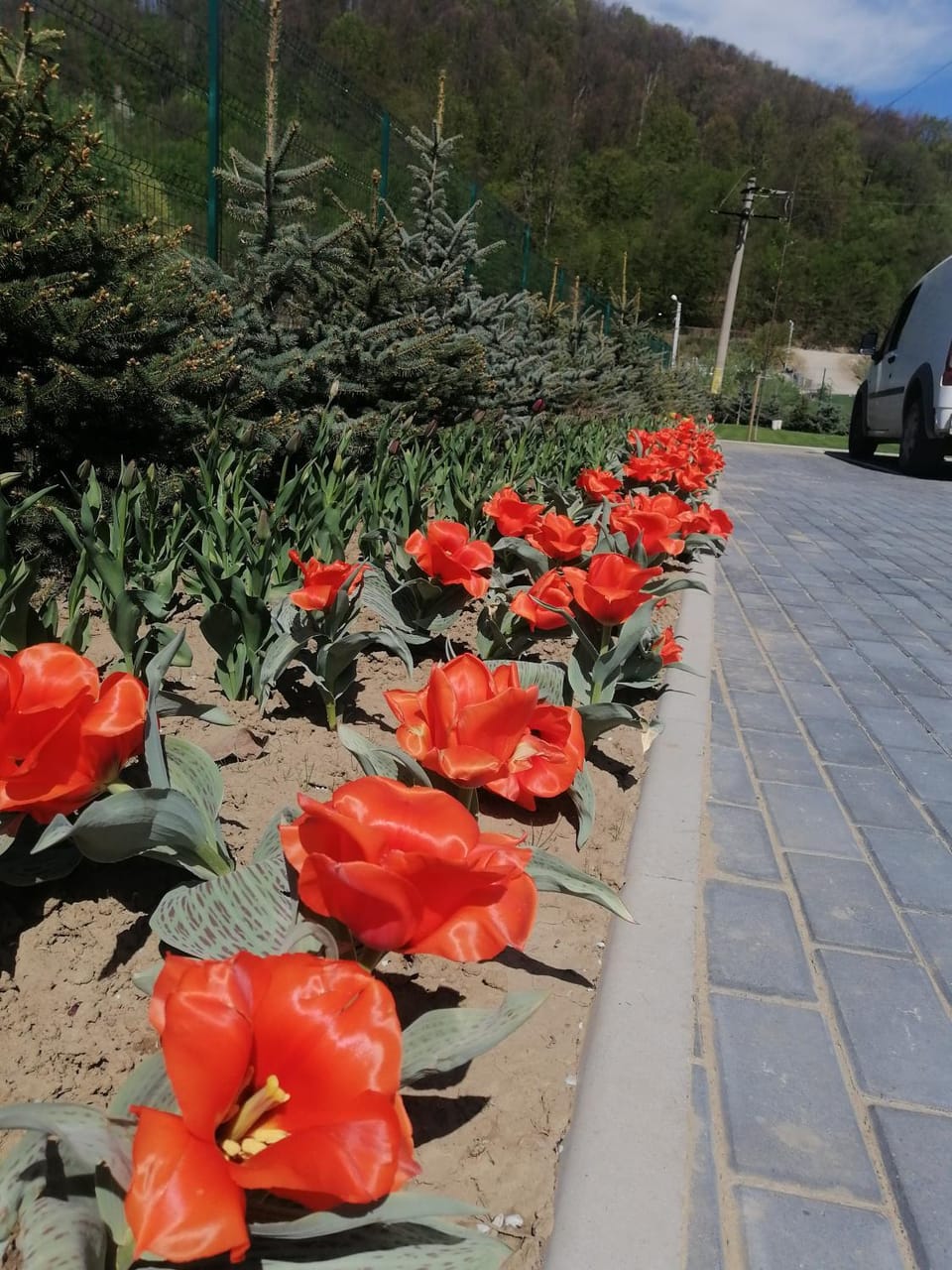 CASA NOBILIS PLUS Bed and Breakfast in Romania