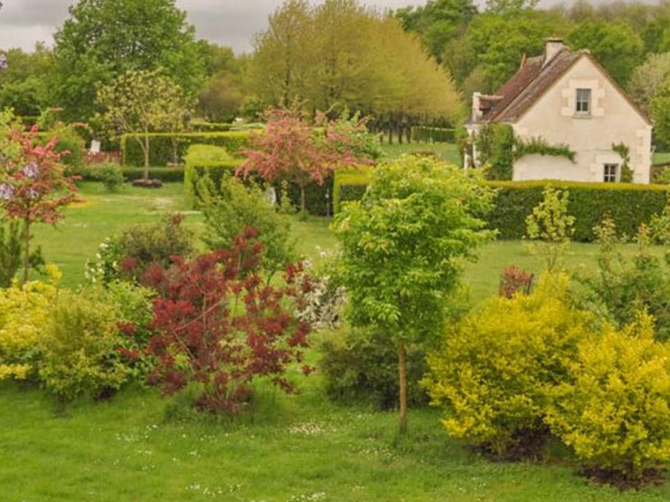 Summer, Garden