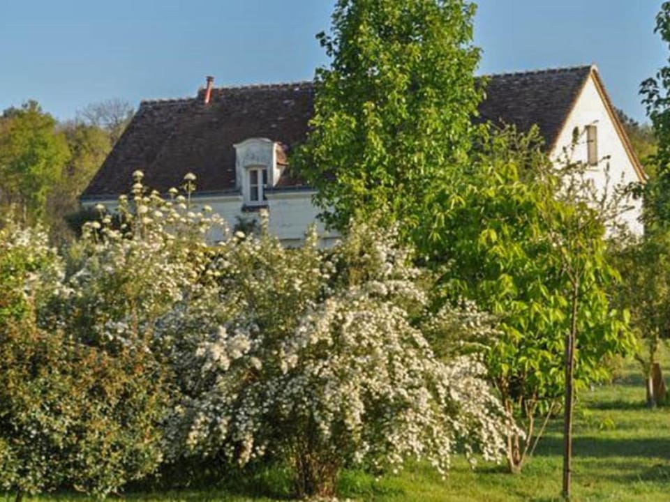 Property building, Summer