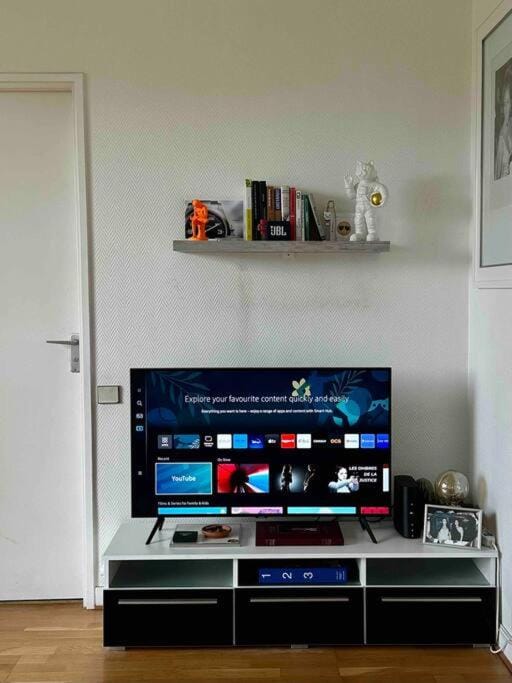TV and multimedia