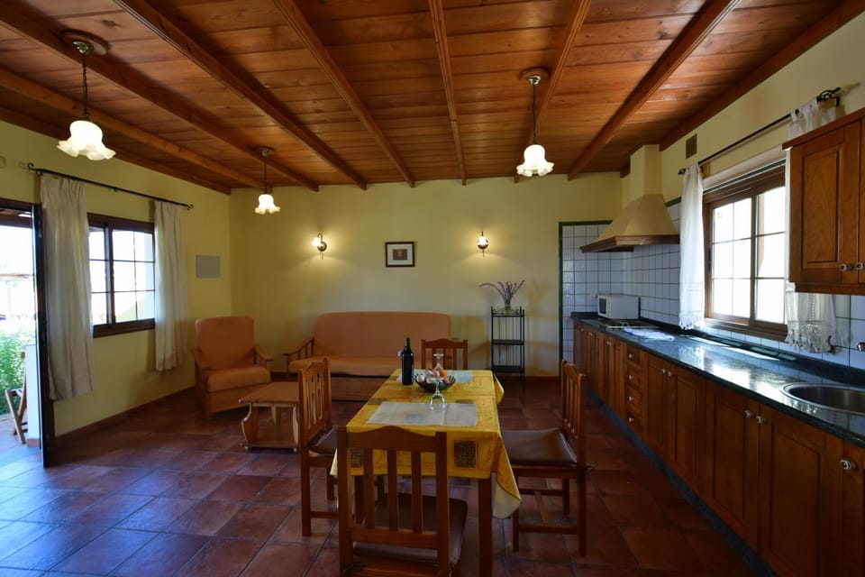 Day, Kitchen or kitchenette, Living room, Dining area