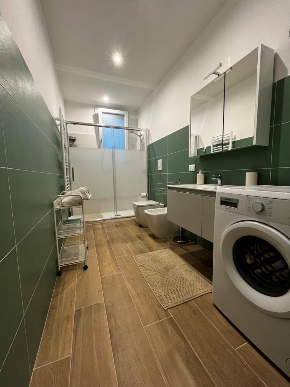 Shower, Bathroom, washing machine