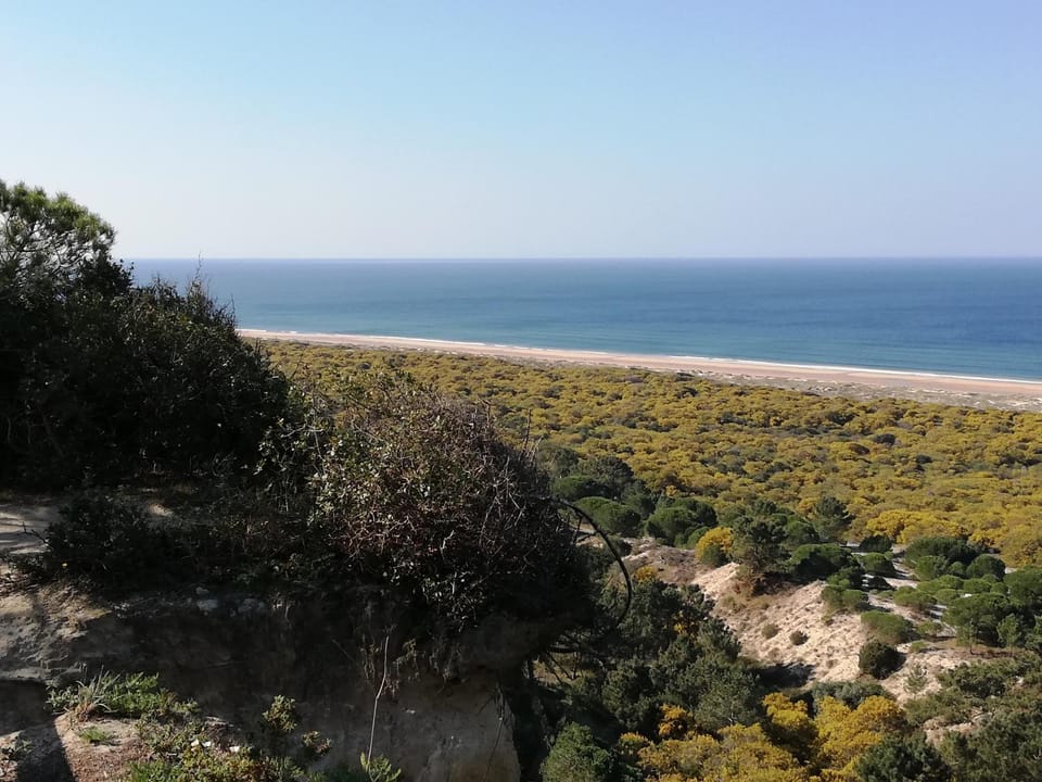 Hostel Casa Lucas Bed and Breakfast in Setubal District