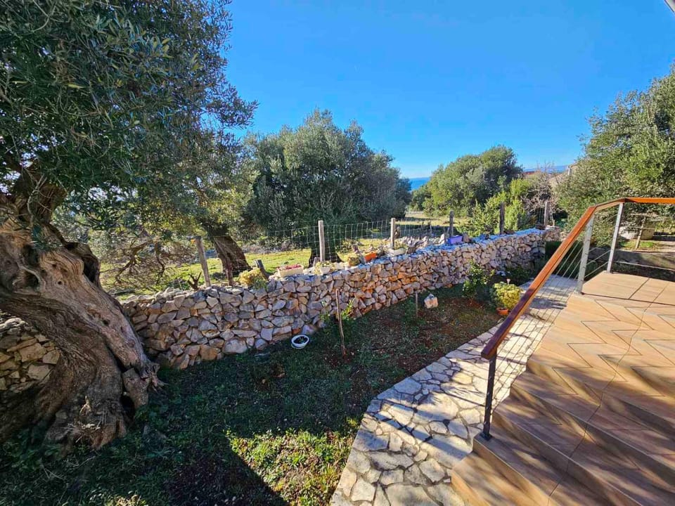 Natural landscape, Garden