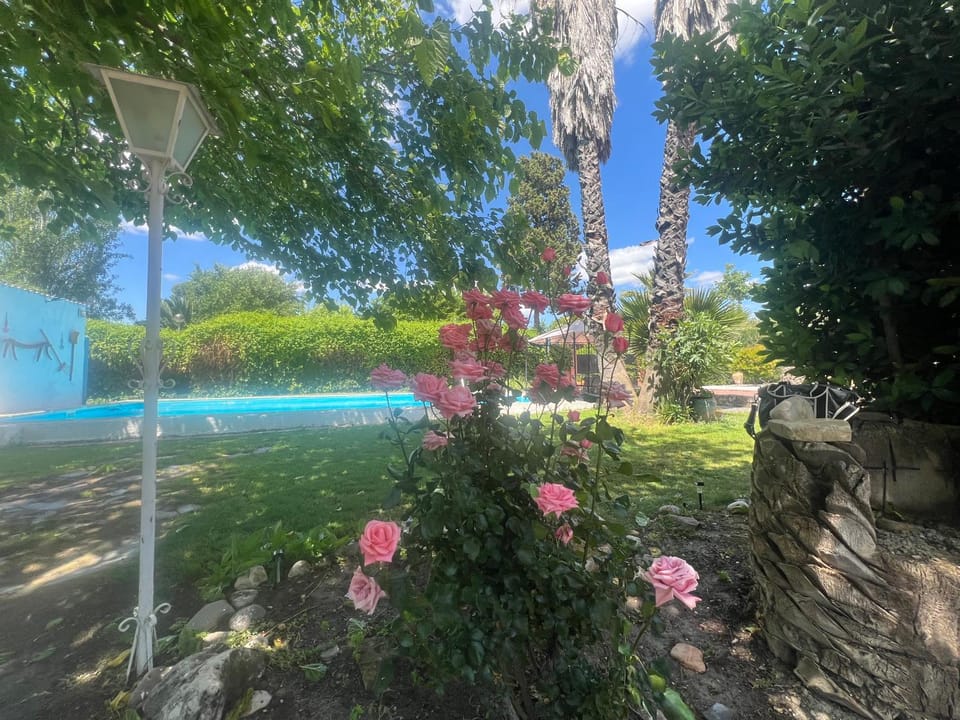 Garden, Garden view, Swimming pool