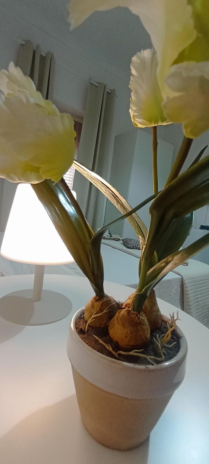 B&B Ristel Bed and Breakfast in Province of Taranto