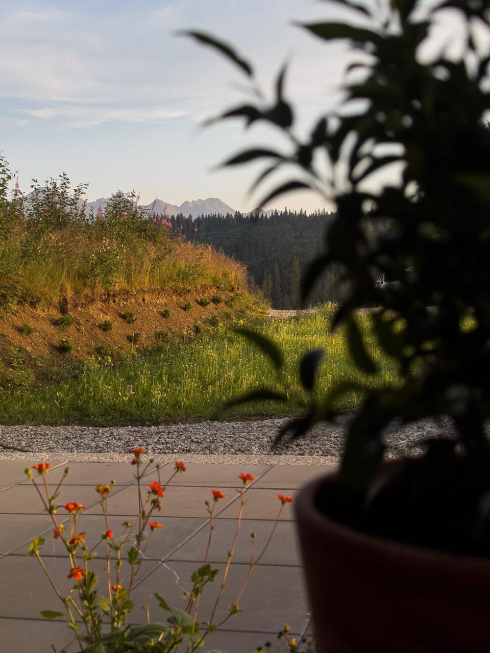 Garden view, Mountain view
