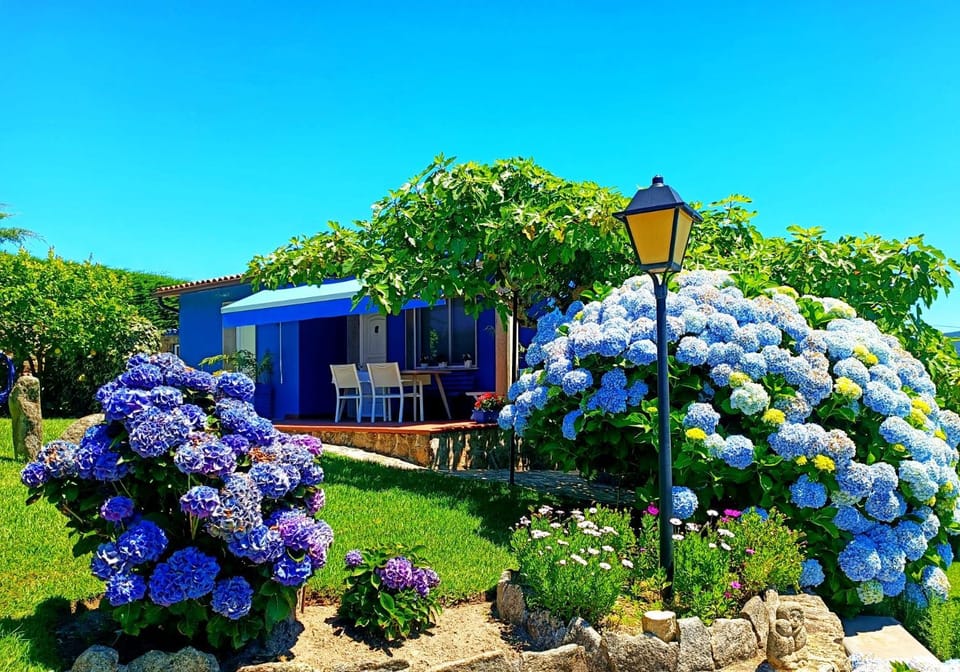 Property building, Natural landscape, Garden, Garden view